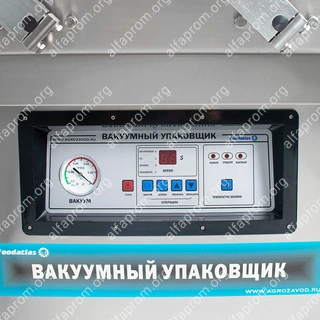 Вакуумный упаковщик DZQ-500/2SC Foodatlas Eco