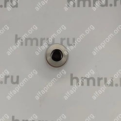 Поршень с кольцами (PTFE) для LPF/PPF-100(T)